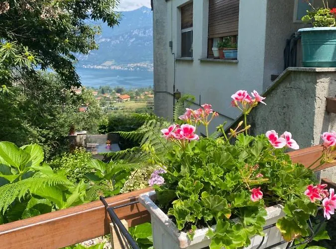 Apartment Panorama *